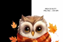 Owl Sublimation Png Fall Owl Png Cute Owl Clipart 