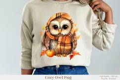 Owl Sublimation Png Fall Owl Png Cute Owl Clipart 