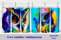 Owl sublimation design tumbler wrap 20 Oz, owl tumbler wrap, rainbow owl sublimation PNG, animals tumbler design.