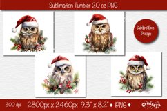 Owl Tumbler Xmas Tumbler, Christmas Tumbler wrap 20 Oz sublimation design PNG. This 20 oz skinny Christmas tumbler sublimation design product contains 4 designs with watercolor Christmas Owl