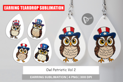 Earring Owl Patriotic Product Image 1