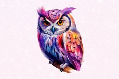 Owl Watercolor Sublimation Clipart Product Image 5