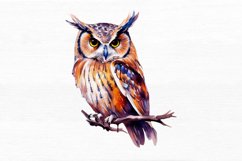 Owl Watercolor Sublimation Clipart Product Image 6