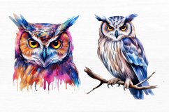 Owl Watercolor Sublimation Clipart Product Image 7