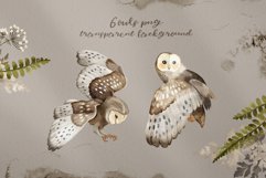 Owls Story watercolor forest clipart Product Image 4