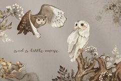 Owls Story watercolor forest clipart Product Image 7