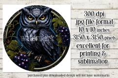 Owl Wind Spinner, Owl Round Design, Darl Owl Coaster, d13 Product Image 2