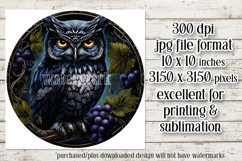 Owl Wind Spinner, Owl Round Design, Darl Owl Coaster, d14 Product Image 2