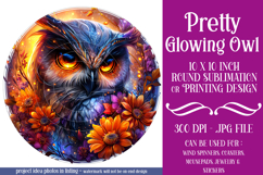 Owl Wind Spinner, Owl Round Design, Glowing Owl Design, d17 Product Image 1