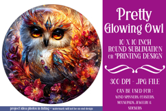 Owl Wind Spinner, Owl Round Design, Glowing Owl Design, d18 Product Image 1