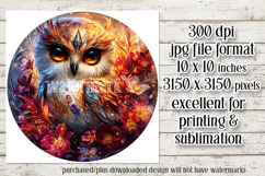Owl Wind Spinner, Owl Round Design, Glowing Owl Design, d18 Product Image 2