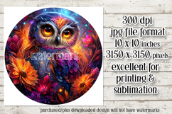 Owl Wind Spinner, Owl Round Design, Glowing Owl Design, d19 Product Image 2