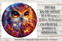 Owl Wind Spinner, Owl Round Design, Glowing Owl Design, d20 Product Image 2
