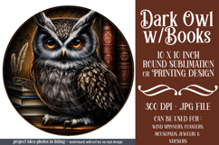 Owl Wind Spinner, Owl Round Design, Darl Owl Coaster, d6 Product Image 1