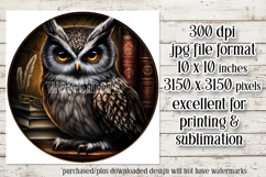 Owl Wind Spinner, Owl Round Design, Darl Owl Coaster, d6 Product Image 2