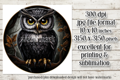 Owl Wind Spinner, Owl Round Design, Darl Owl Coaster, d7 Product Image 2