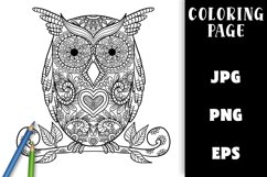 Coloring Page - Floral Owl PNG Product Image 1