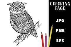 Coloring Page - Grumpy Owl on a Branch PNG Product Image 1