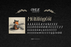 Owlie - Storybook Font Product Image 7