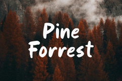 Oxford Vibes Playful Handwritten Font