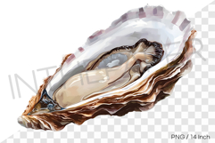 Dark rim premium oyster PNG clam clipart marine watercolor Product Image 1