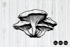 Oyster Mushrooms SVG, Fungi SVG, Mushrooms SVG Product Image 1