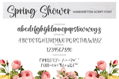 Spring Shower Product Image 6
