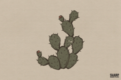 Prickly Pear Cactus Illustration, Western PNG For Trendy Product Image 1