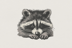 Cute Raccoon PNG, Hand-Drawn Animal Art, Forest Wildlife Product Image 1