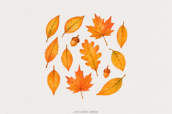 Autumn Leaves Watercolor PNG, Fall Leaf Clipart, Hand Drawn Product Image 1