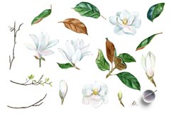 White Watercolor Magnolia | Wedding clipart Product Image 2