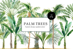 Watercolor Palm Trees | Landscapes clipart Product Image 1