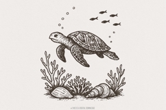 Sea Turtle PNG, Ocean Animal Clipart, Underwater Product Image 1