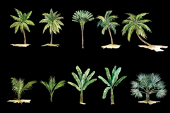 Watercolor Palm Trees | Landscapes clipart Product Image 2