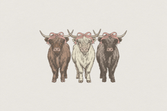 Highland Cow PNG Trio With Bows, Cute Farm Animal Design, Product Image 1