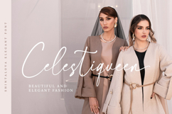 Shintalova - Elegant Script Font Product Image 2