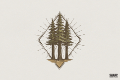 Pine Tree Forest PNG, Nature Clipart, Evergreen Art, Product Image 1