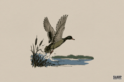 Fall PNG, Trendy PNG, Shirt PNG, Vintage Mallard Duck Product Image 1