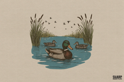 Mallard Ducks Swimming In A Pond With Cattails And Flying Product Image 1