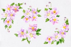 Watercolor anemones bouquets Clipart PNG / Sublimation Product Image 4