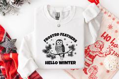 Frosted Feathers Owl SVG - Hello Winter Forest Illustration Product Image 3