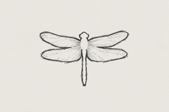 Dragonfly PNG Line Art, Minimalist Insect Digital Design, Product Image 1