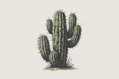 Cactus PNG, Desert Plant Clipart, Succulent Art Design, Product Image 1