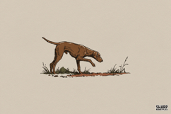 Vintage Bird Dog Illustration, Western PNG, Trendy PNG, Product Image 1