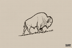 Vintage Bison Wildlife, Western PNG, Trendy PNG, Shirt PNG, Product Image 1