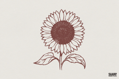 Sunflower PNG Design, Vintage Hand Drawn Flower Graphic, Product Image 1