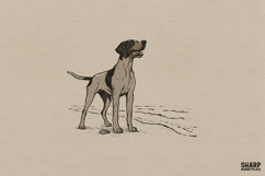 Vintage Pointer Dog Coastal Sketch, Png Designs For Shirt Product Image 1