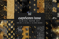 16 Black &amp; Gold Capricorn Zodiac Seamless Patterns Product Image 1