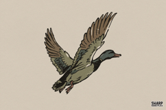 Flying Mallard Duck, Summer Trendy Shirt PNG, Vintage Product Image 1