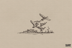 Flying Ducks Over Marsh PNG, Vintage Waterfowl Nature Product Image 1
